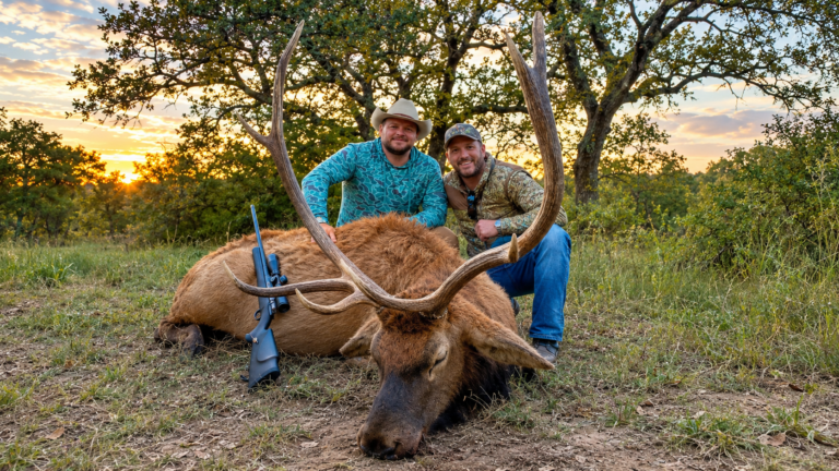hunt-axis-deer-year-round-texas